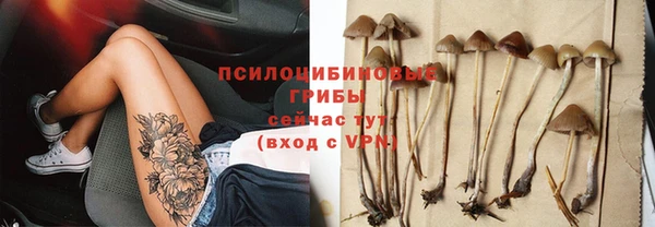 хмурый Алзамай