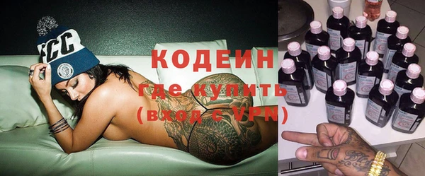 хмурый Алзамай