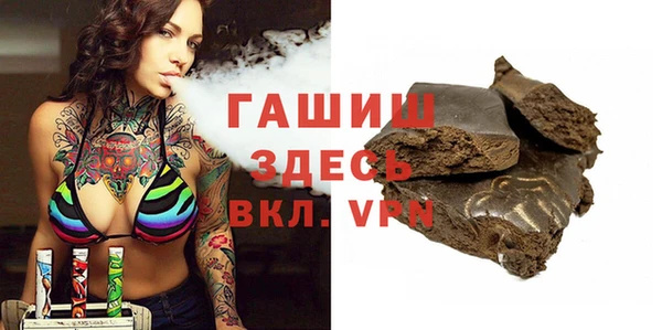 хмурый Алзамай