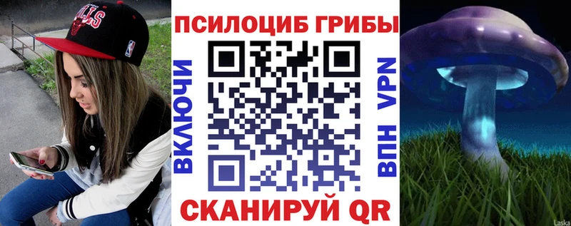 Галлюциногенные грибы Psilocybine cubensis  Андреаполь 